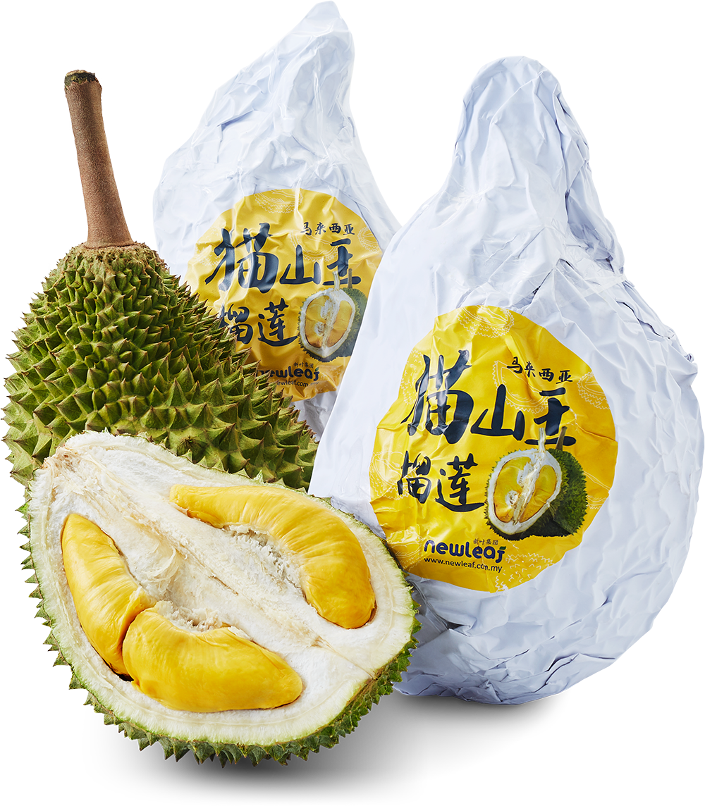Frozen Durian Manufacturer & Processing