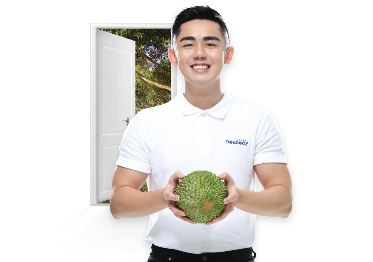 Durian Supplier Exporter Durian from farm to your doorstep