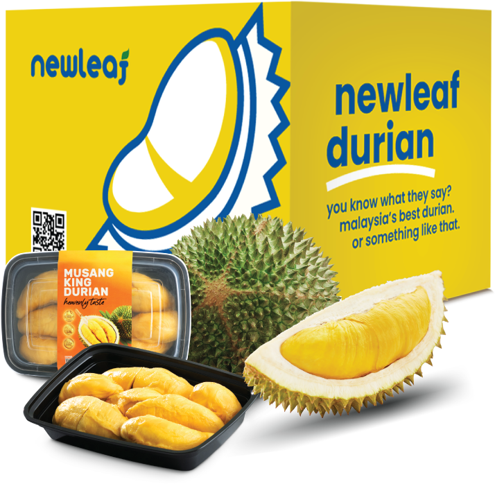 Neewleaf Malaysia Musang king Durian Exporter