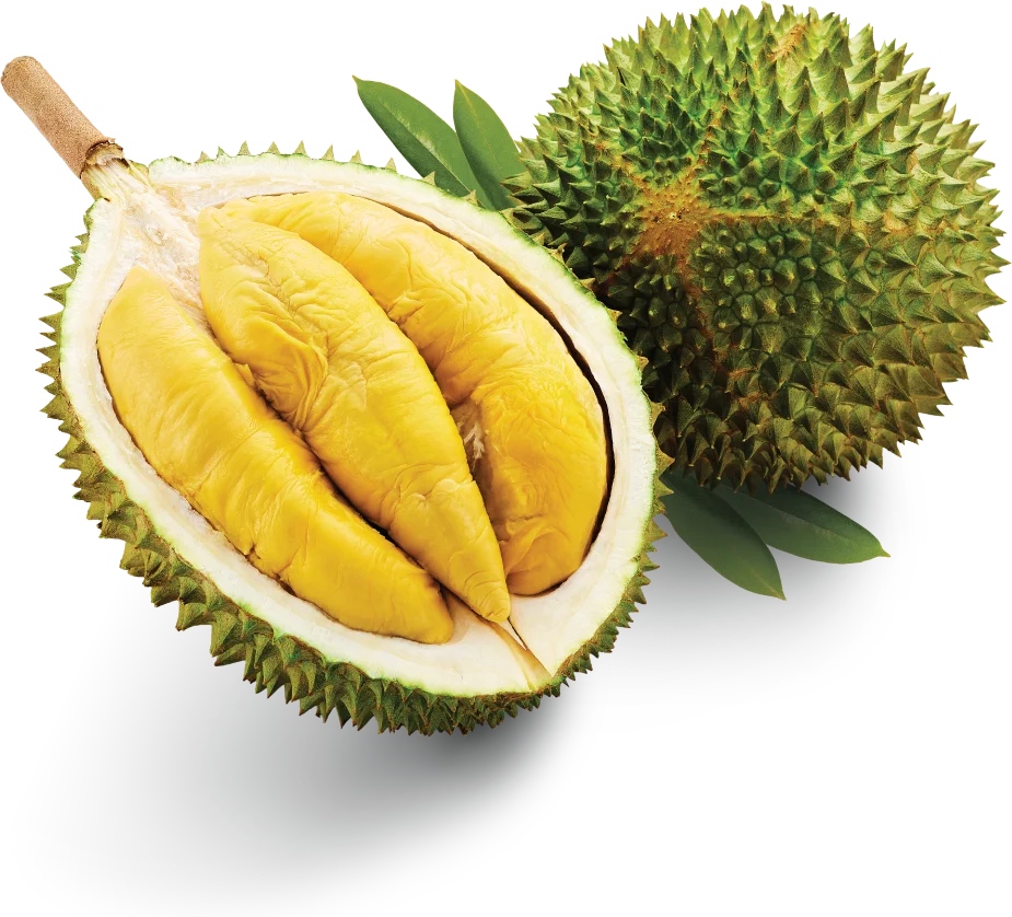 Newleaaf Musang King Durian Malaysia