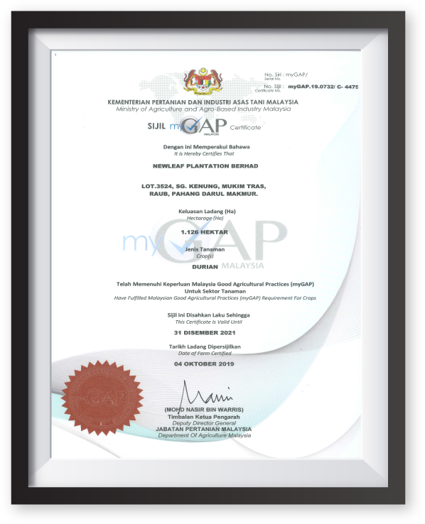 MyGap certified