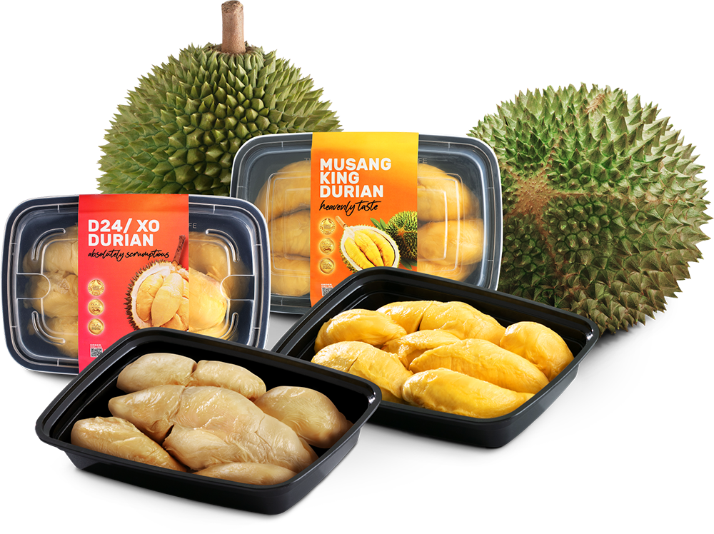 Fresh Durian Manufacturer & Processing