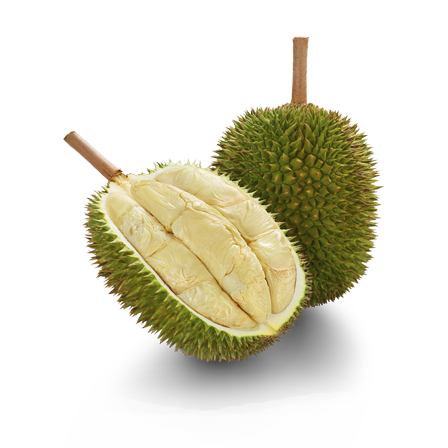 D24 XO Durian