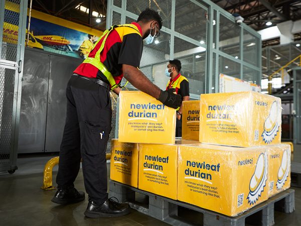 deliver fresh durians