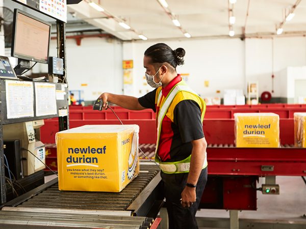 Newleaf DHL Export Durian