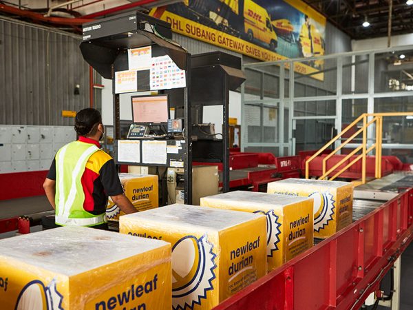 Musang King Newleaf export