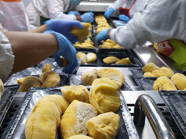 Fresh Musang King packing