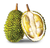 Teka Durian Malaysia