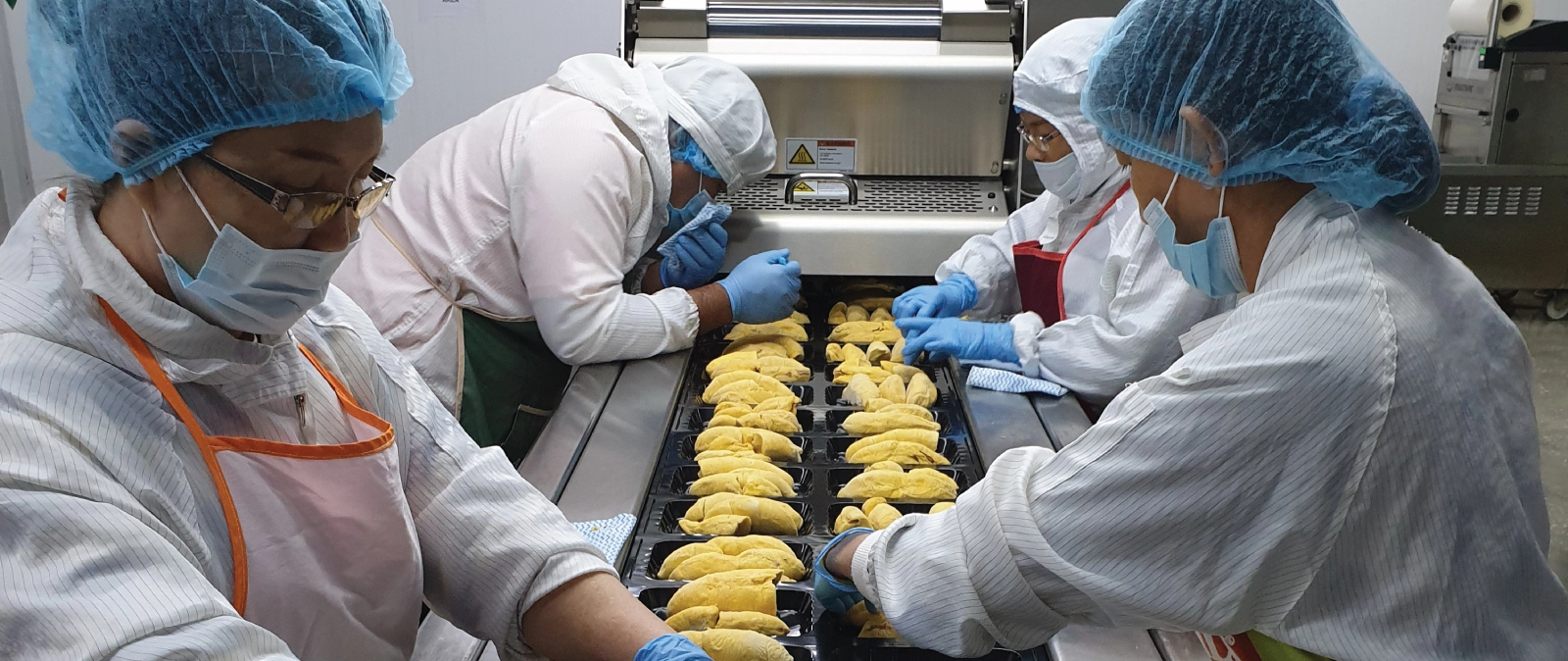 Durian manufacturing & processing