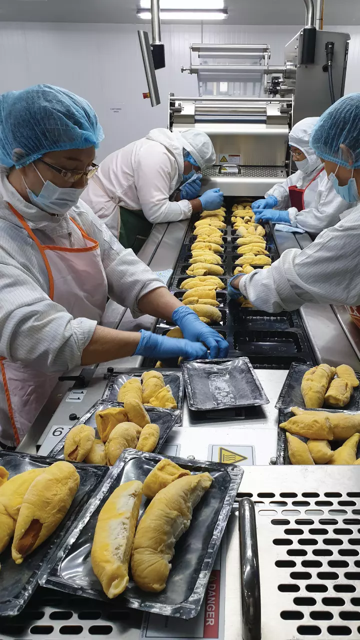 durian manufacturer processing